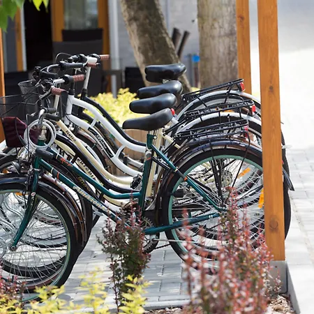 Kwatera prywatna Pod Lipami *